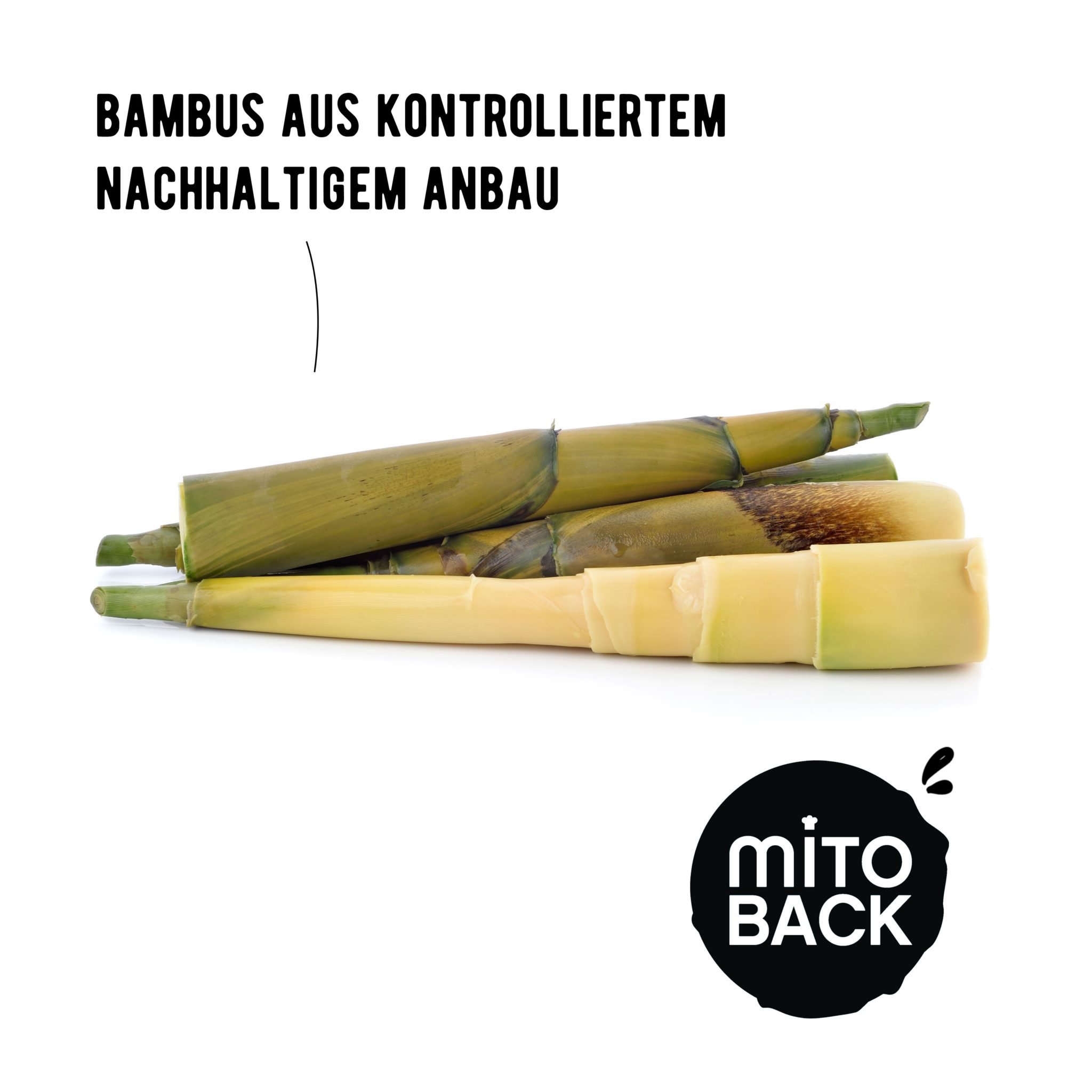 Bambusfaser Rezepte - Bambusfaser Mehl Carb Mehle Pur