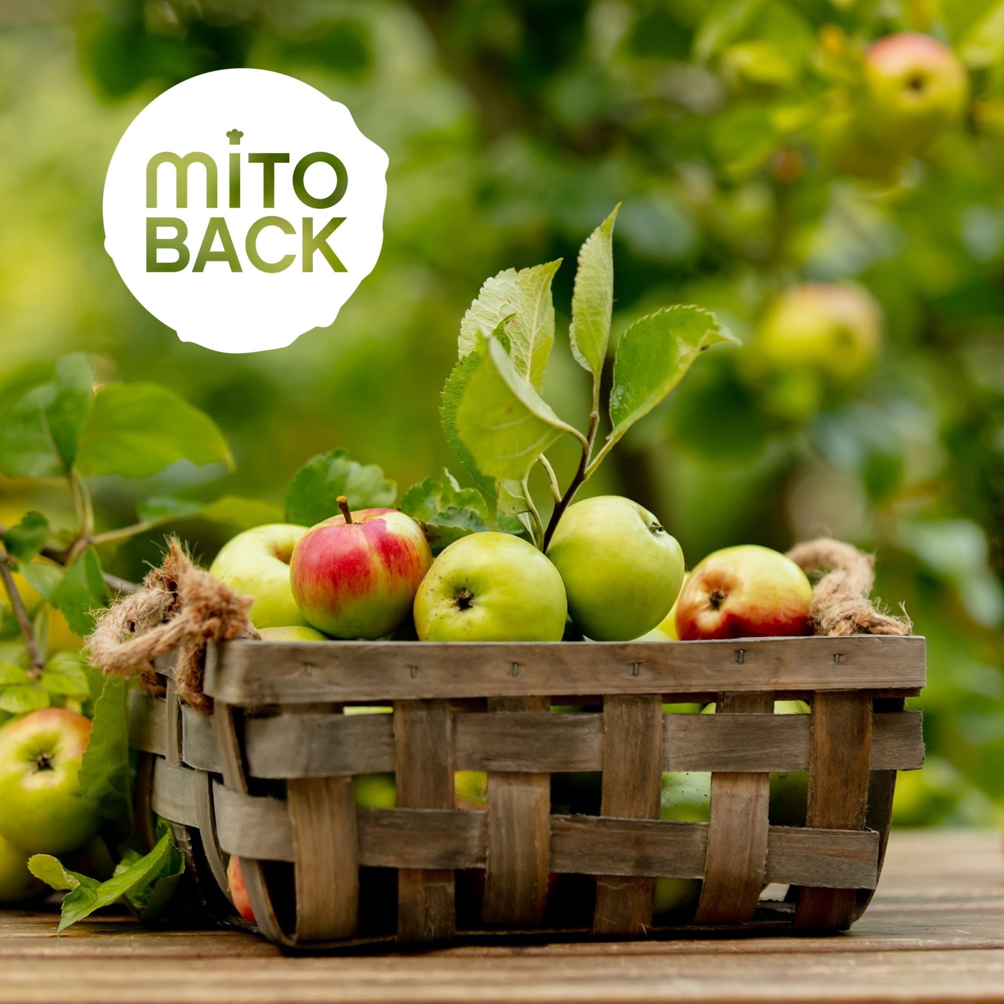 Apfel-Fasern – Bild 7