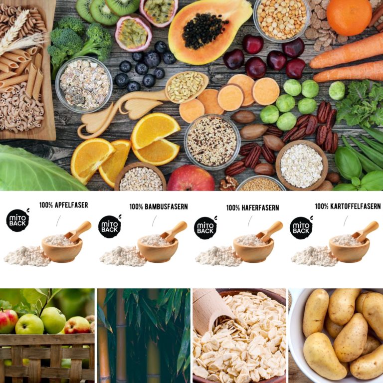 Warum sind Ballaststoffe so gesund? MITOBACK Gesunde Ernährung