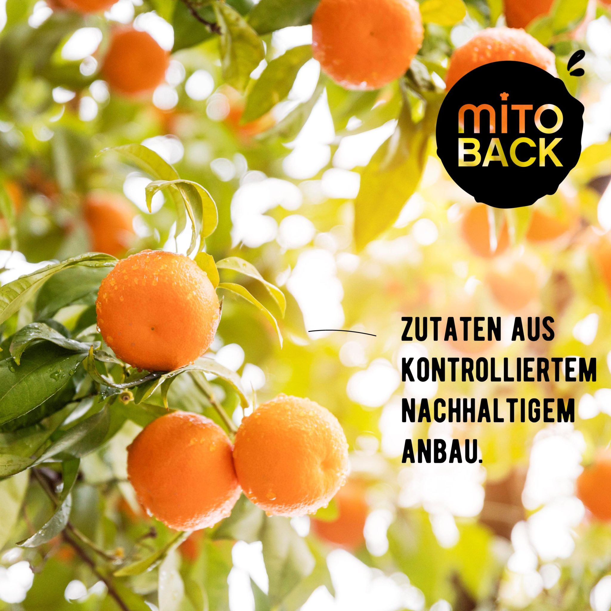 Orangenschalen - gemahlen – Bild 2